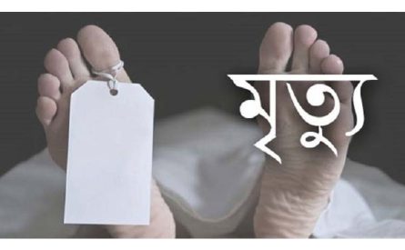 কানাইঘাটে পৃথক দুর্ঘটনায় ফুফু ও ভাতিজির মর্মান্তিক মৃত্যু