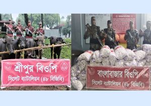 সিলেট-সুনামগঞ্জ সীমান্ত থেকে মহিষ, মা দ ক দ্র ব্য ও পণ্য জব্দ করেছে বিজিবি