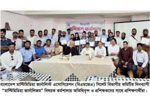 সাংবাদিকতা পেশা নয়, একটি চ্যালেঞ্জ : মাল্টিমিডিয়া কর্মশালায় বক্তারা