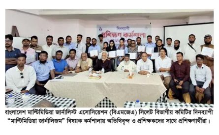 সাংবাদিকতা পেশা নয়, একটি চ্যালেঞ্জ : মাল্টিমিডিয়া কর্মশালায় বক্তারা